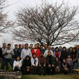 2011年4月3日 A地区最後の花見